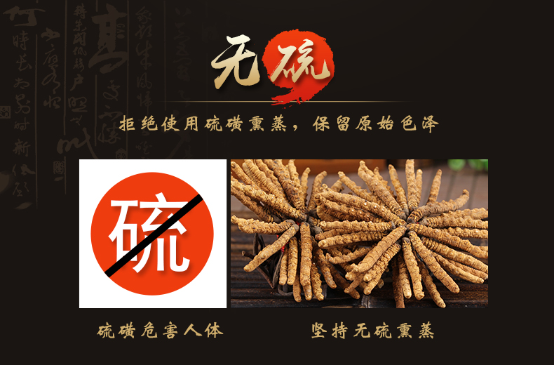 冬虫夏草_04.jpg