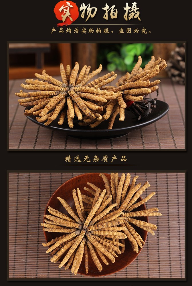 冬虫夏草_05.jpg