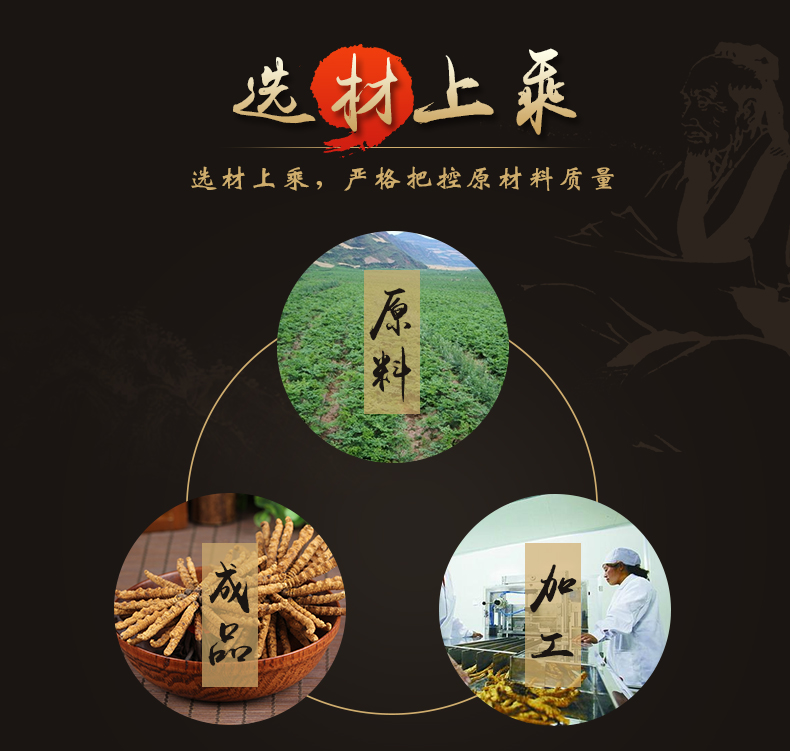 冬虫夏草_03.jpg
