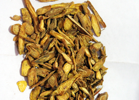 黄芩 甘肃.jpg