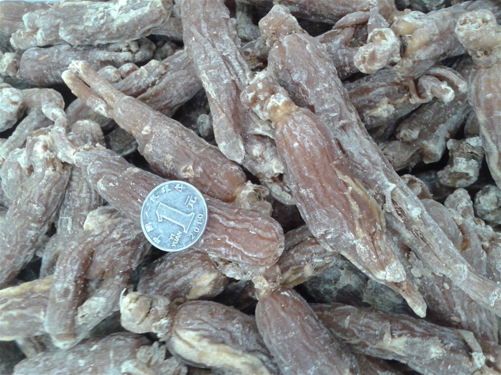 20140425_094215.jpg