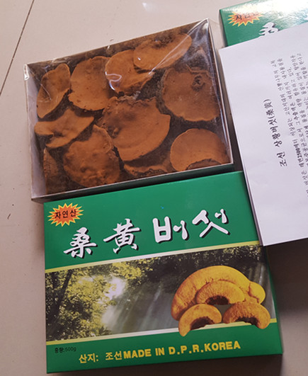 桑黄_副本.jpg