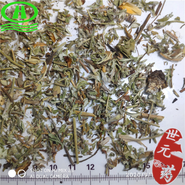 委陵菜薛亮体育场北门07_副本.jpg