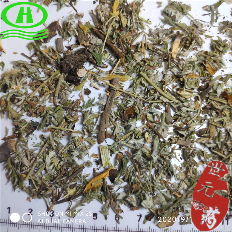 委陵菜薛亮体育场北门~06_副本.jpg