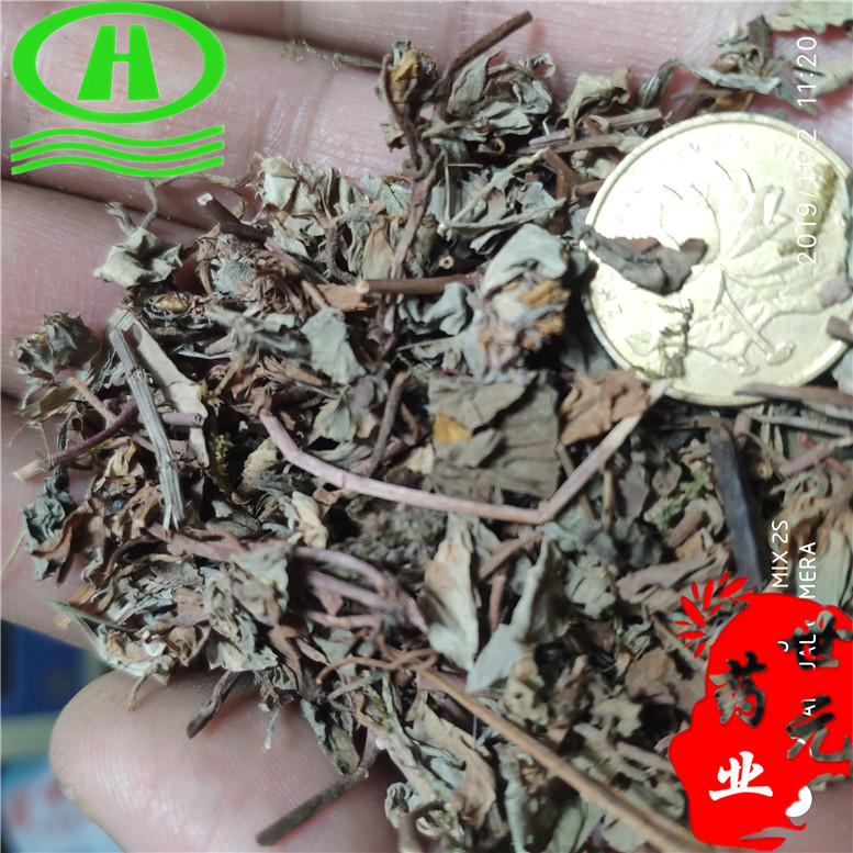 过路黄假小叶金钱草15.12吕屋中间空心金钱草实心_副本.jpg