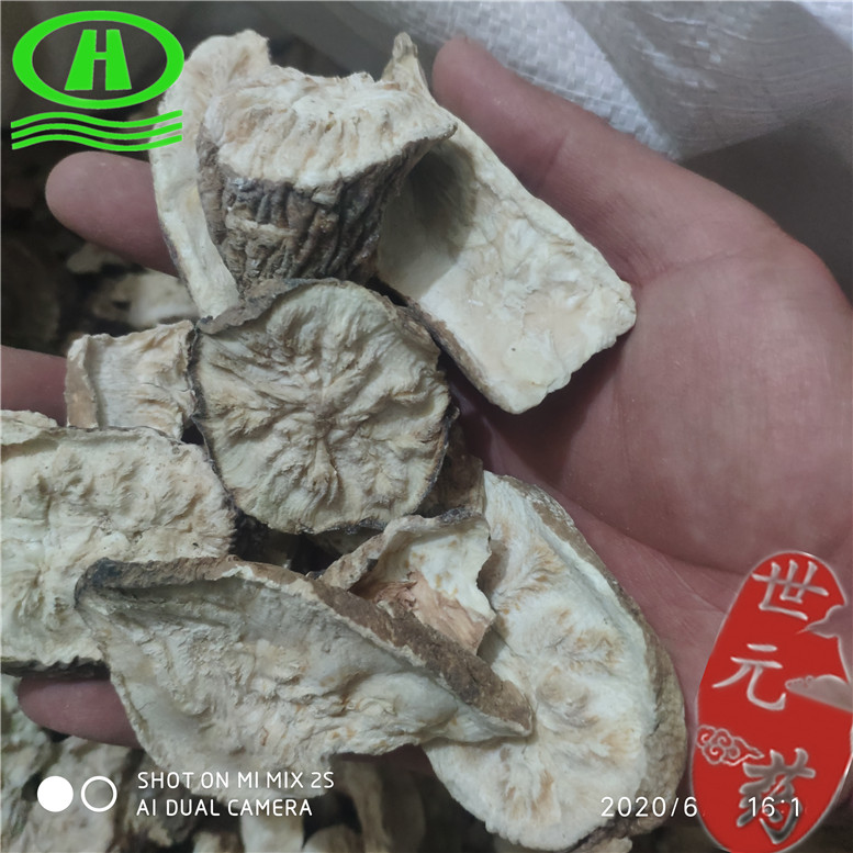 菊苣根片康18~03_副本.jpg