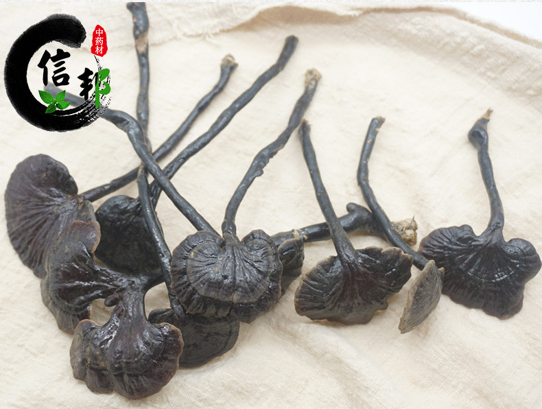 野生竹灵芝详情7.jpg