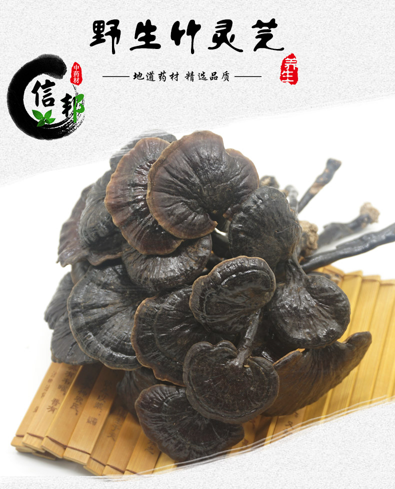 野生竹灵芝详情1.jpg