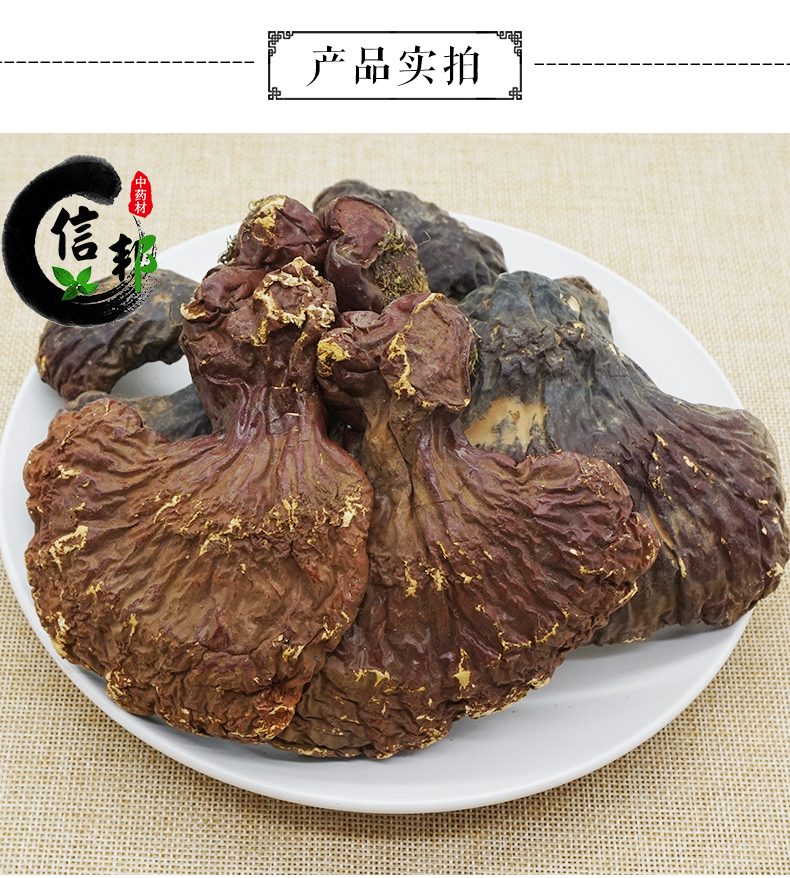 灵芝_03.jpg