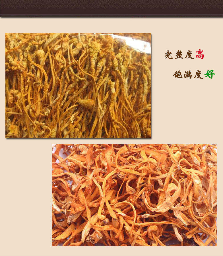 E899ABE88D89E88AB1322E6A7067.jpg
