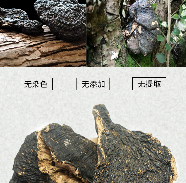 薄树芝详情_04.jpg