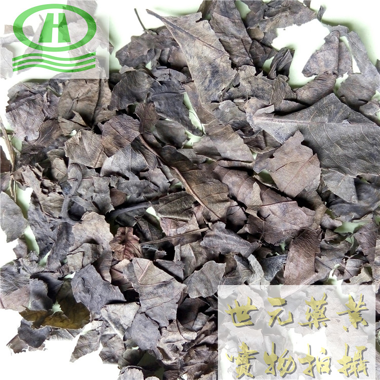 破壁灵芝孢子.jpg
