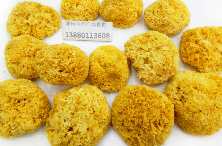 yinerxiaoduoal016.jpg
