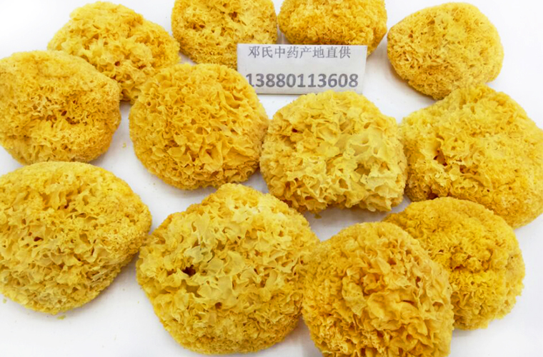 yinerxiaoduoal017.jpg
