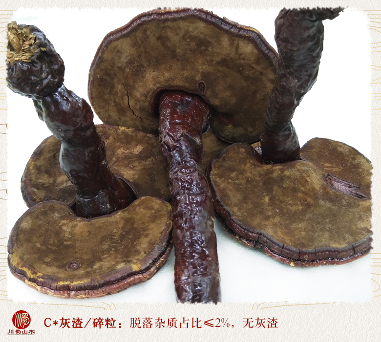 cstcssnhonglingzhixiaogetonghuo010.jpg