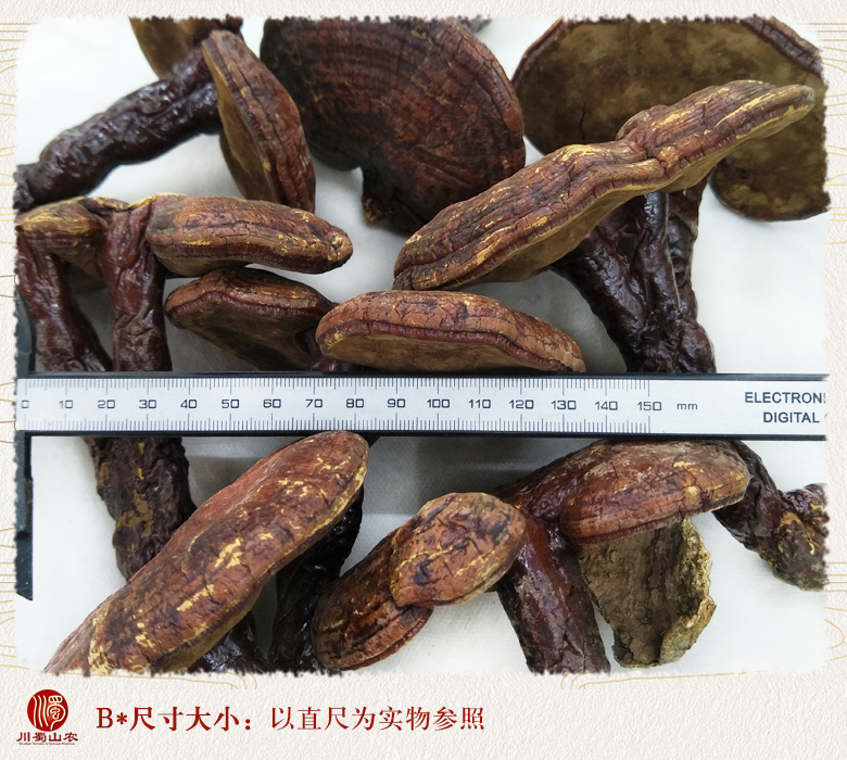 cstcssnhonglingzhixiaogetonghuo09.jpg