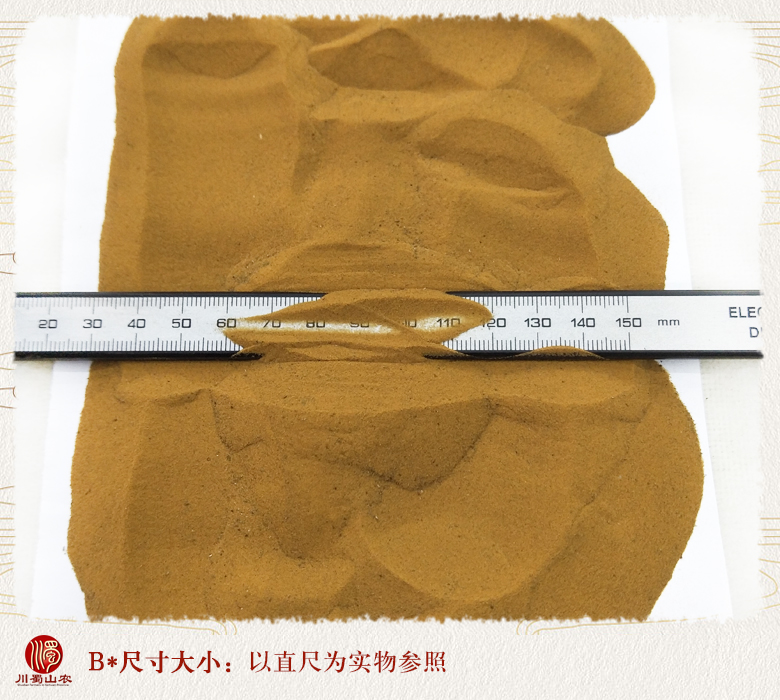 cstcssnhaijinsha09.jpg