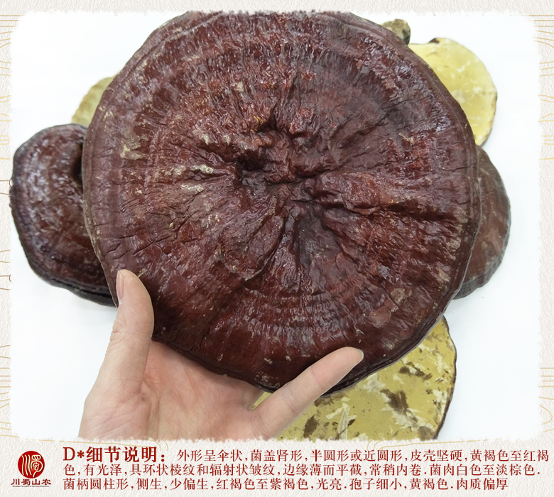 cstcssnhonglingzhihourouzhitonghuo011.jpg