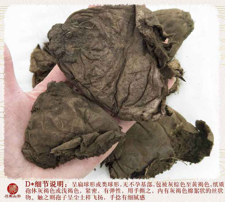 cstcssnhuimabotonghuo011.jpg