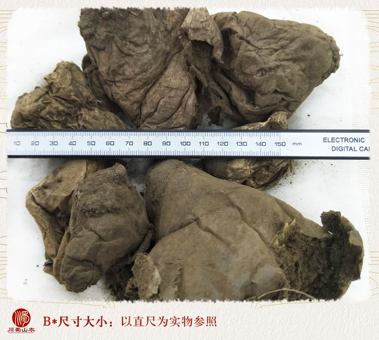 cstcssnhuimabotonghuo09.jpg