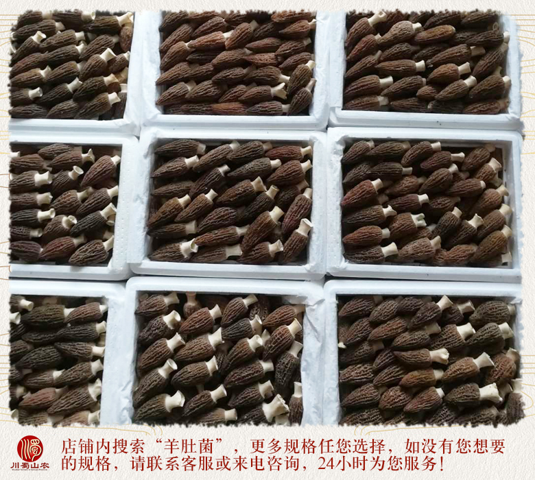 cstcssnxinxianyangdujun012.jpg