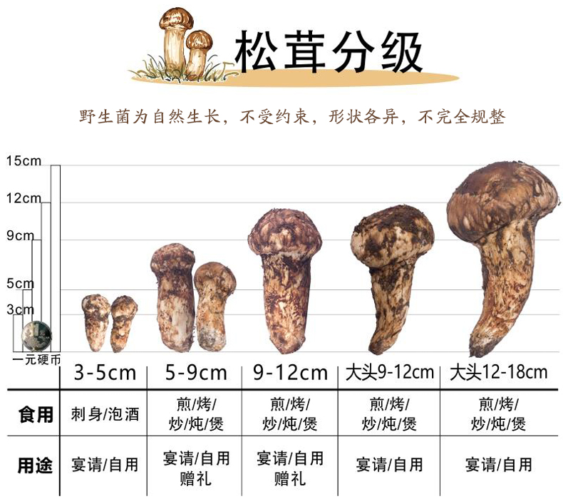 xiansongrongxiangqing06.jpg
