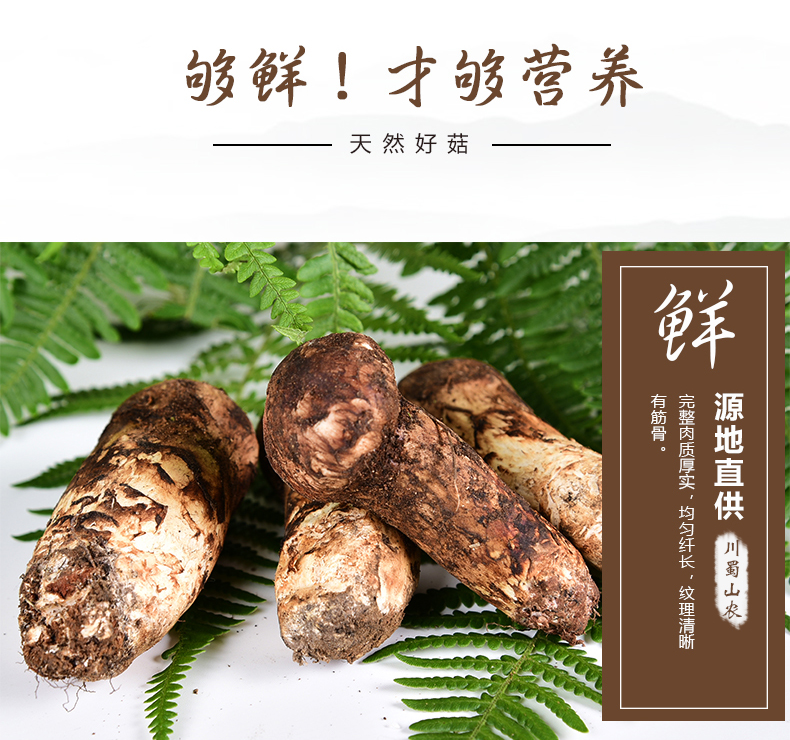 xiansongrongxiangqing08.jpg