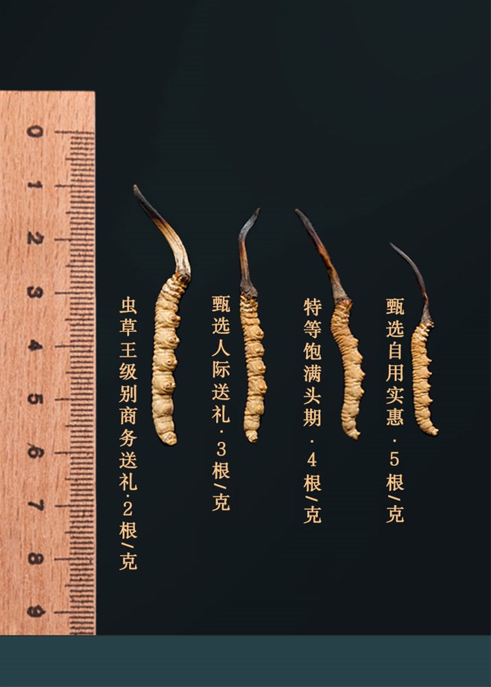 E899ABE88D89E79C9FE4BCAAE8BEA8E588AB5F30342E6A7067.jpg