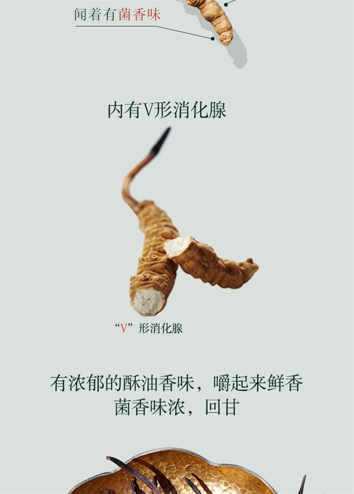 E899ABE88D89E79C9FE4BCAAE8BEA8E588AB5F31322E6A7067.jpg
