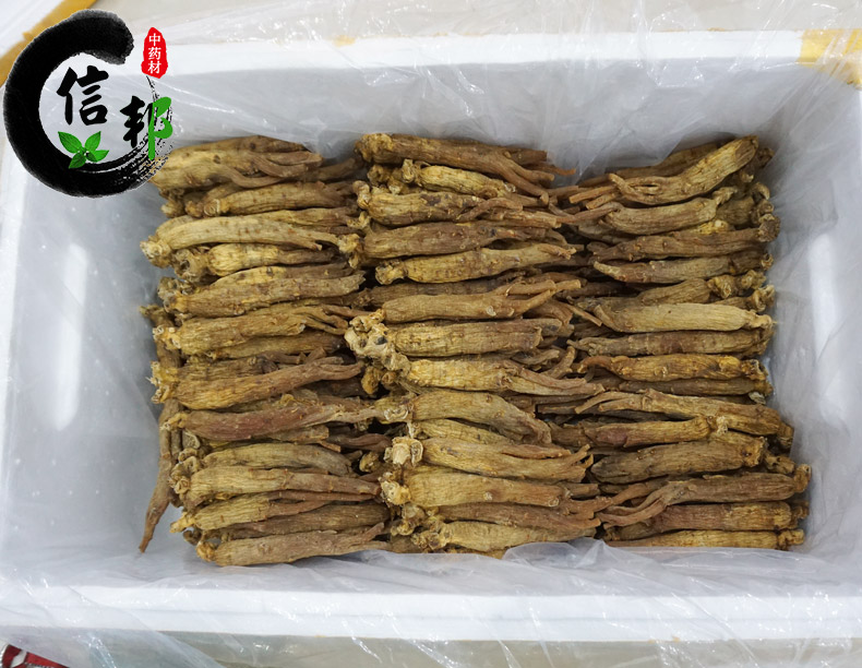 红参边条详情13.jpg