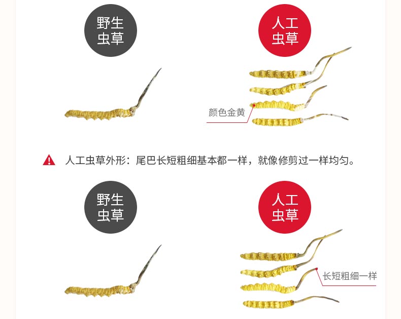 新二维码.jpg
