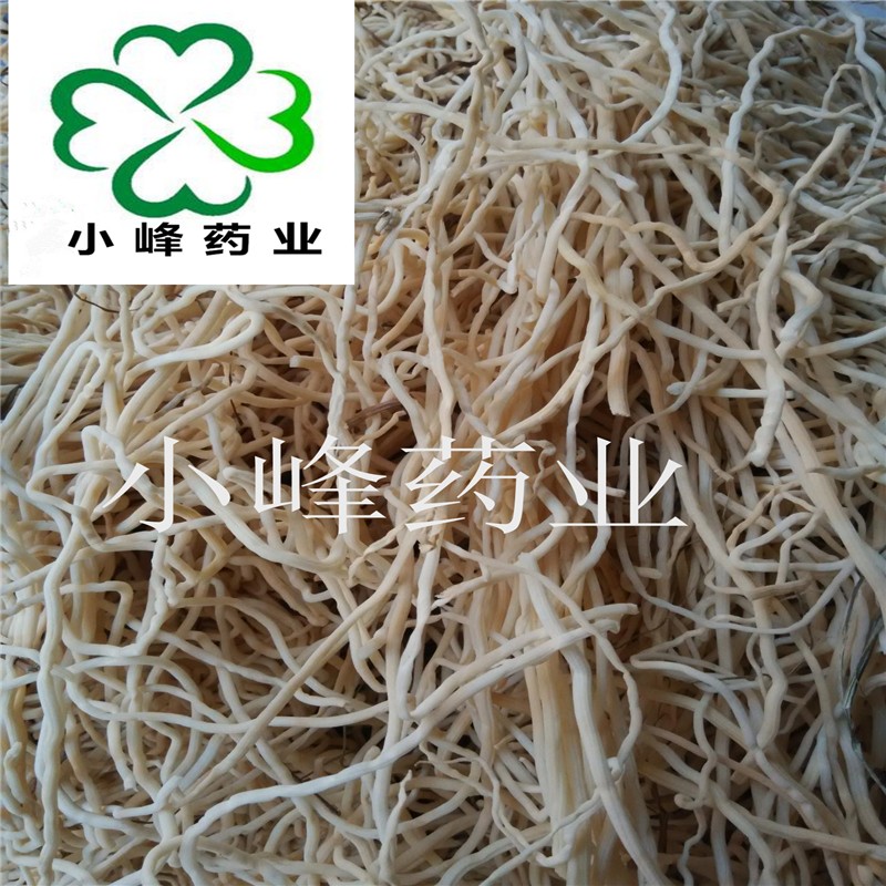5384783be6bb3c255124e358ac03976fce7fad16.jpg