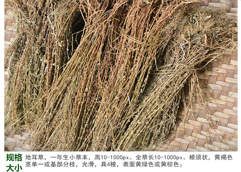 地耳草5.jpg