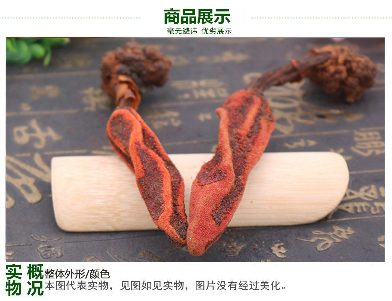 草苁蓉3.jpg