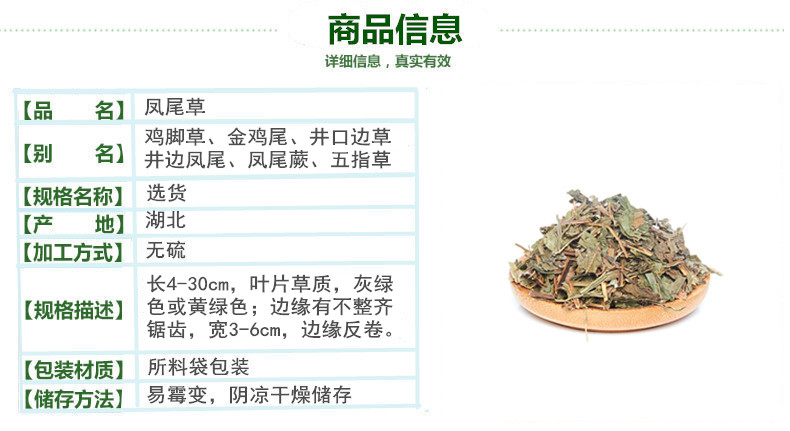 凤尾草2.jpg