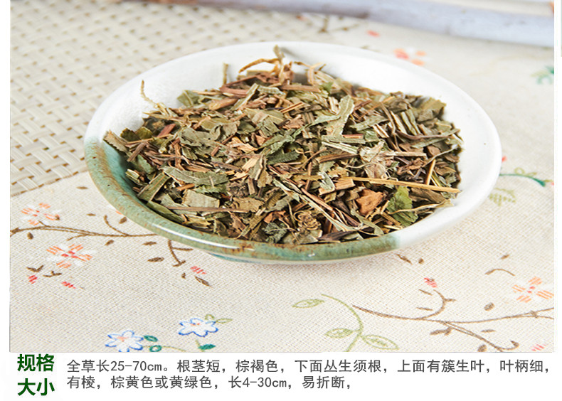 凤尾草5.jpg