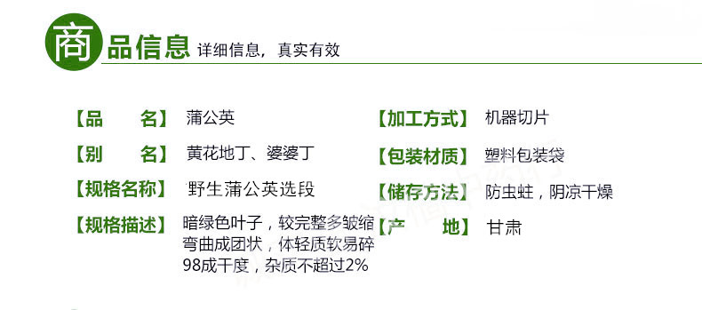 蒲公英野生2.jpg