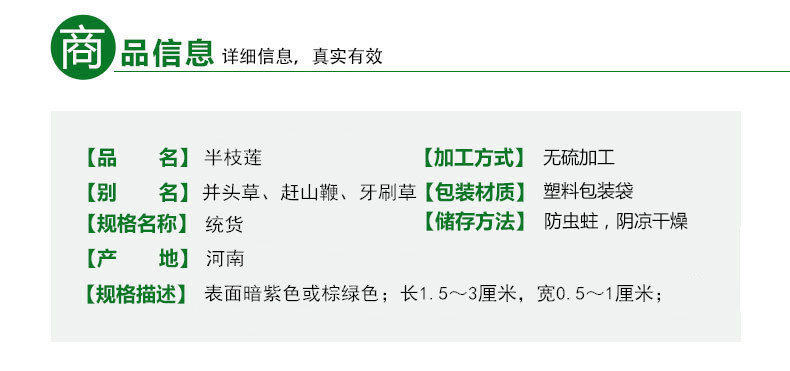 半枝莲.jpg