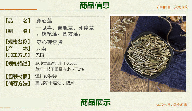 穿心莲2.jpg