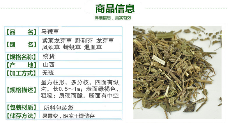 马鞭草2.jpg
