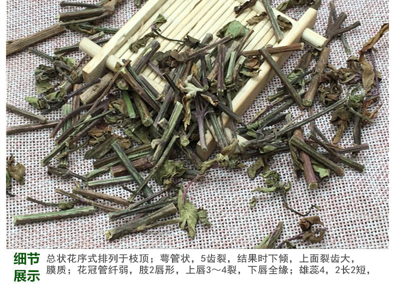 猫须草4.jpg