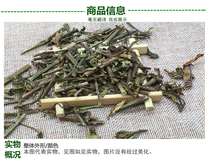 猫须草3.jpg