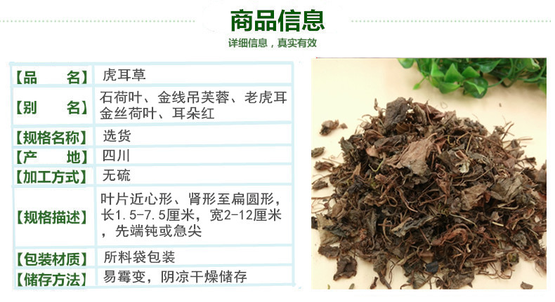 虎耳草2.jpg