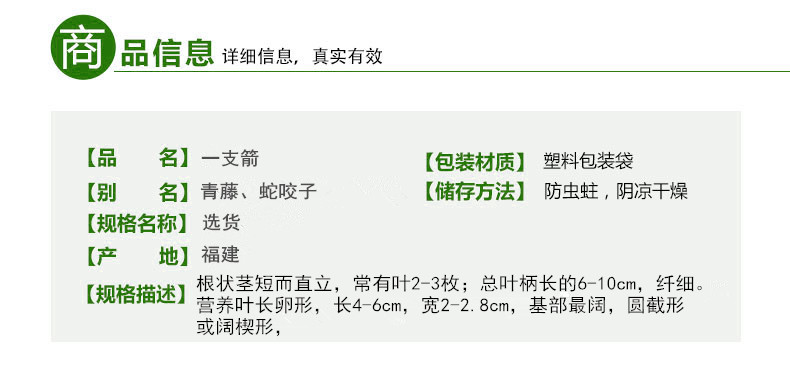 一支箭2.jpg