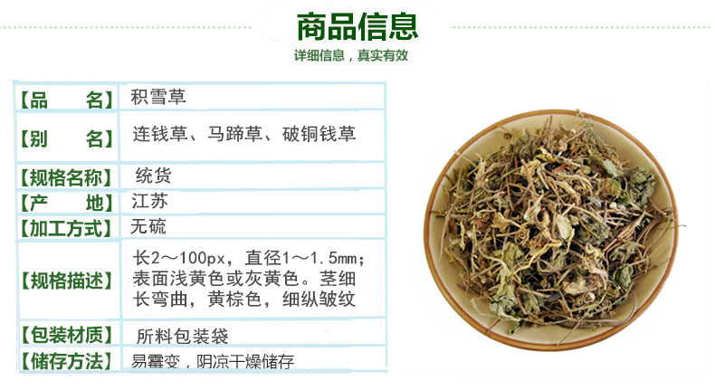 积雪草2.jpg