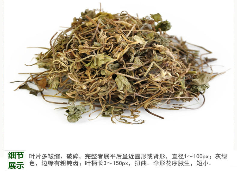 积雪草4.jpg