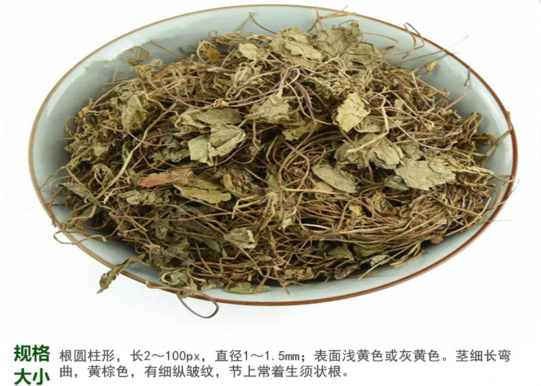积雪草5.jpg