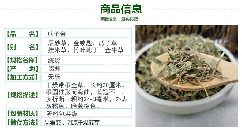 瓜子金2.jpg