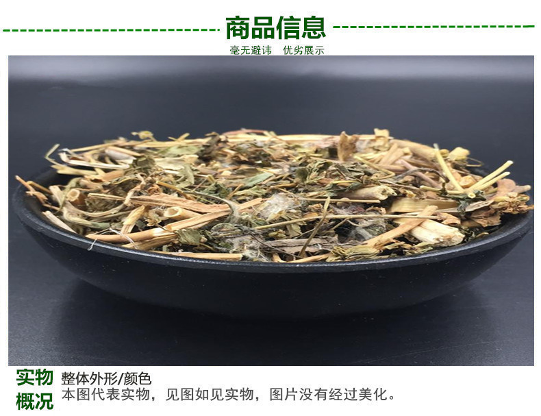 泽漆3.jpg