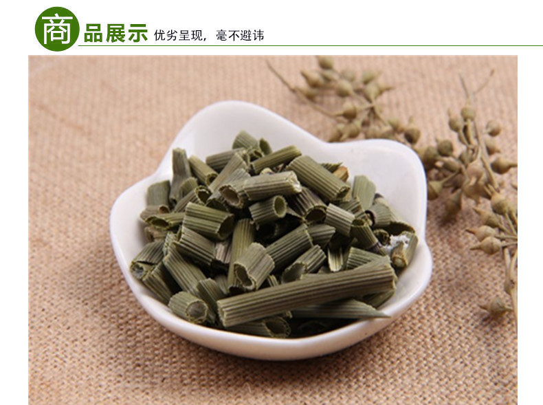 木贼草3 (1).jpg